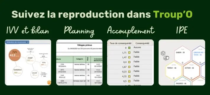 Bandeau CTA latéral blog PANIMALE (7)