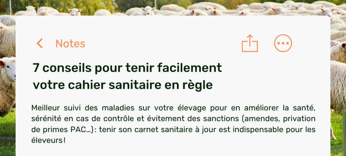 Bandeau CTA latéral blog PANIMALE (8)