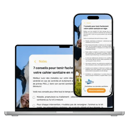 Carré CTA corps de texte blog PANIMALE (16)