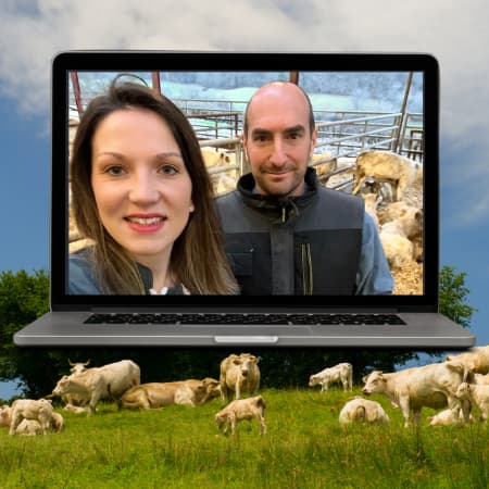 Carré CTA corps de texte blog PANIMALE (4)