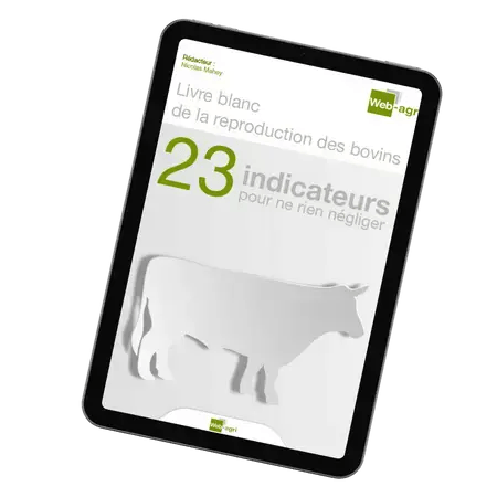 Carré CTA corps de texte blog PANIMALE (6)