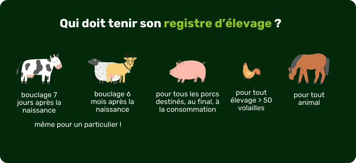 registre-elevage-bovin-ovin-caprin-porc