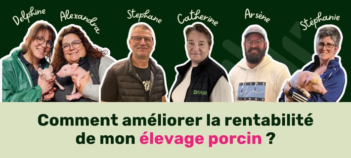 3 éleveurs améliorent la rentabilité de leur élevage porcin