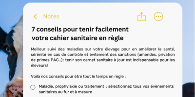 Conseils cahier sanitaire taille bonne