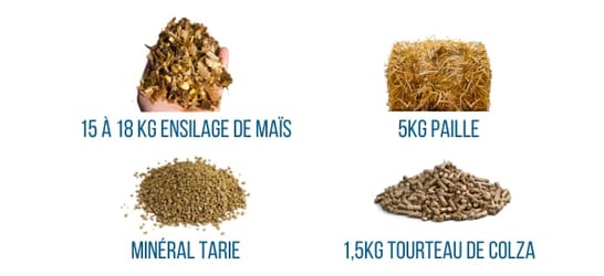 ration-vache-preparation-velage