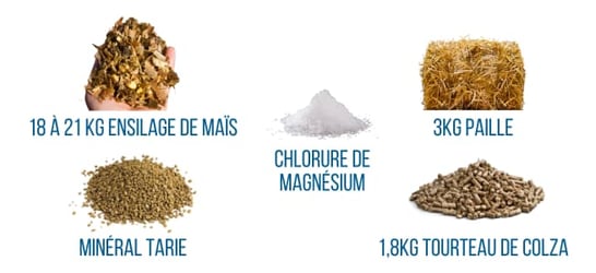 ration-vache-preparation-velage