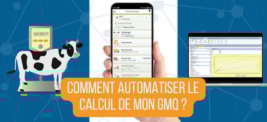 Article blog GMQ (5)