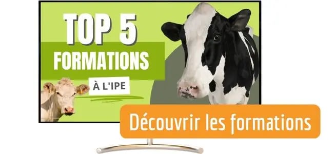 Article blog IPE