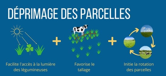 interet-deprimage-parcelles
