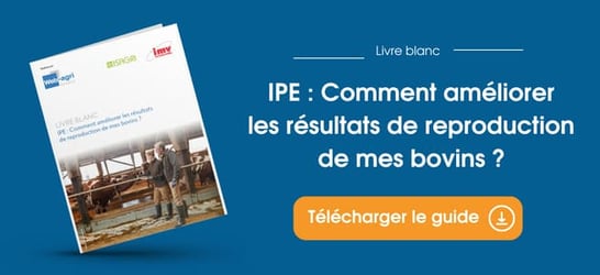 ipe-ameliorer-resulats