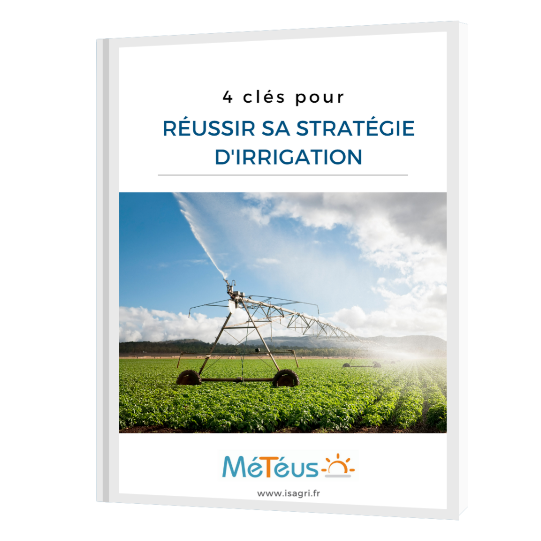 irrigation - clés pour réussir sa stratégie dirrigation_