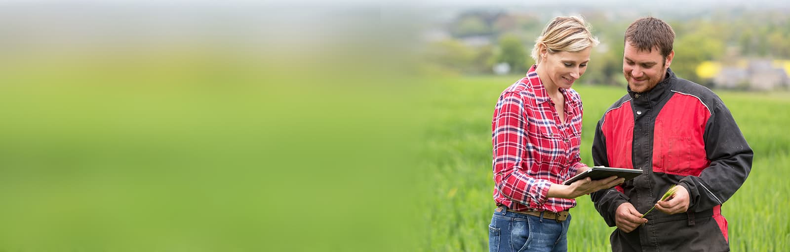 En recherche d'une activité complémentaire en agriculture