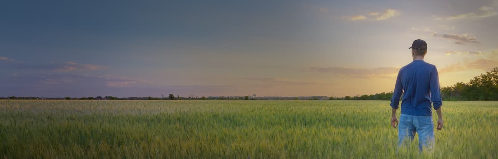 Visuel_TEST_1600x513pv_CV_1620