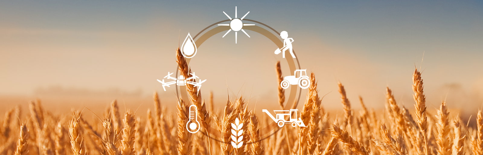 Promize la startup innovante de l'agriculture