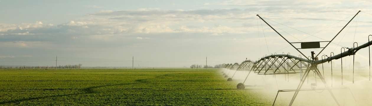 optimisation de l'irrigation