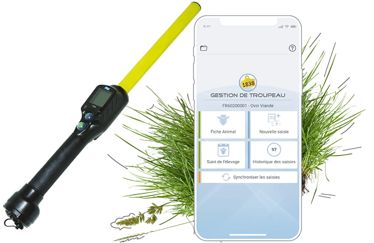 Facilitez et sécurisez vos enregistrements en bergerie grâce à l’application Smartphone couplé à un lecteur de boucles électroniques. Accédez rapidement à la carrière d’un animal par simple lecture de sa boucle électronique. Facilitez la recherche ou le tri de vos animaux