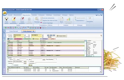 Le logiciel isachevre vous permet une gestion optimisée de votre exploitation agricole