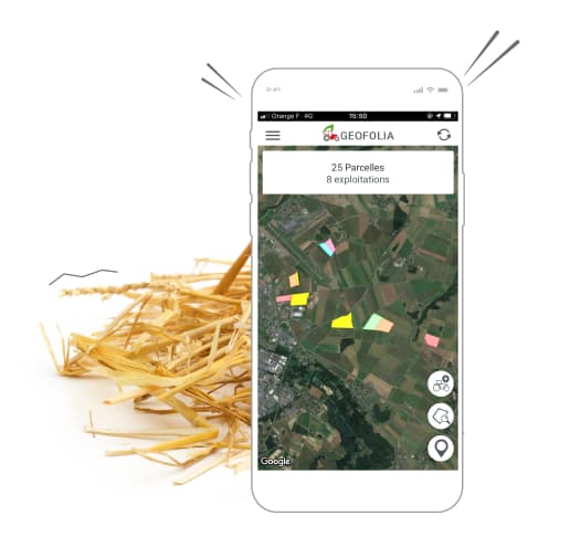 COPIE Smartphones_Geofolia4_768x503