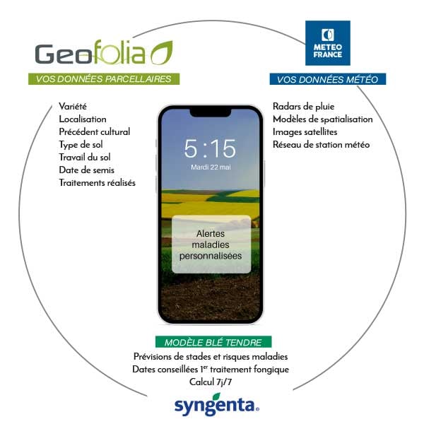 Shemas2_Geofolia_Meteus_600x600_site_web_CV_0722 (3)