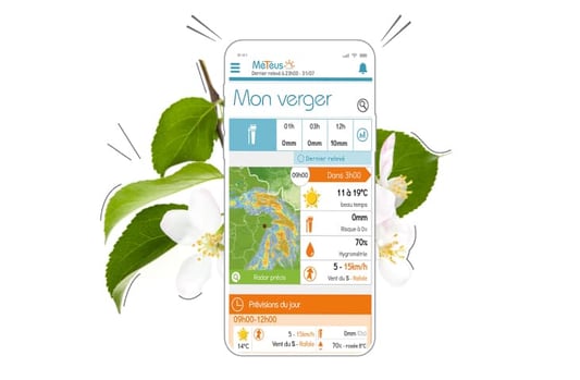 Je réponds aux défis environnementaux de l’arboriculteur et du maraîcher grâce à la solution météo Météus