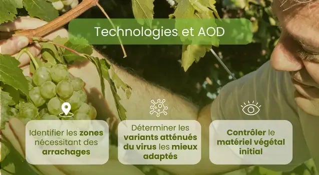 technologie-aod-court-noue