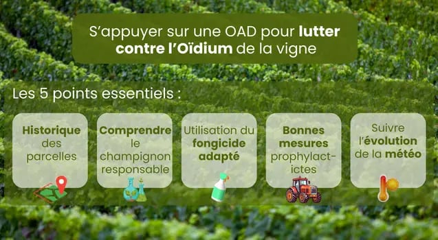 lutter-contre-oidium-vigne-oad