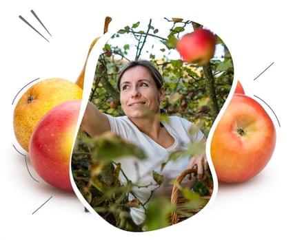 Arboriculteur ou maraîcher, j’augmente le revenu de mon exploitation grâce aux solutions ISAGRI.