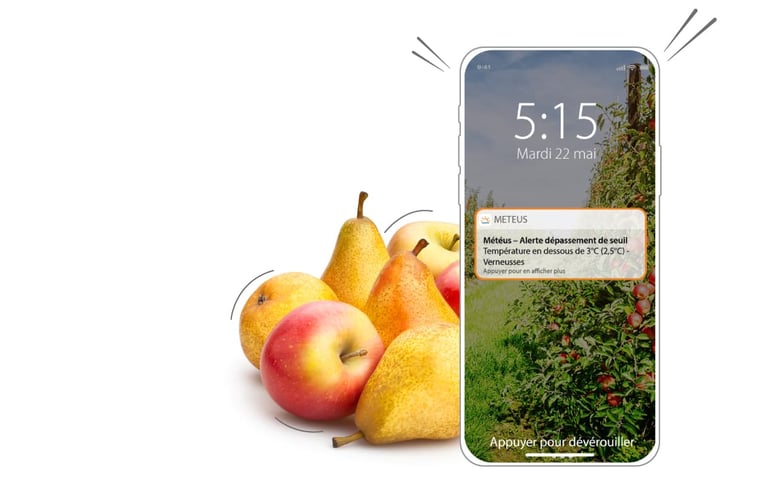 Soyez alerté en cas de gel pour protéger vos cultures, station météo professionnelle agricole, station meteo pro connectée, pluviomètre connecté agriculture, meilleure station meteo connectée, station meteo agricole connectée, station météo connectée smartphone, station meteo connectée, station meteo pluviometre connecté