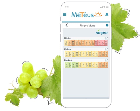 Diminuez vos traitements sans impacter vos rendements, o a d, oad, oad agriculture, application meteo agricole fiable, application meteo agricole, météo agricole application, appli météo agricole