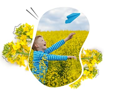 isagri-solutions-collaboratives-envois-des-donnees