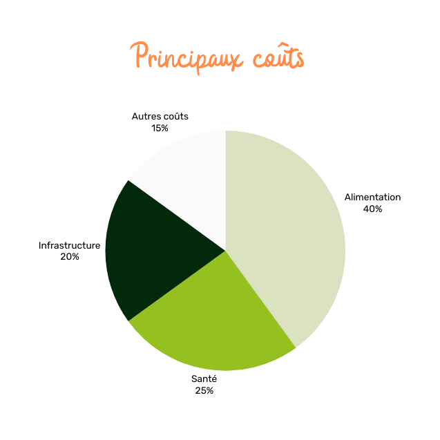 Infographie des principaux coûts et leviers de rentabilité
