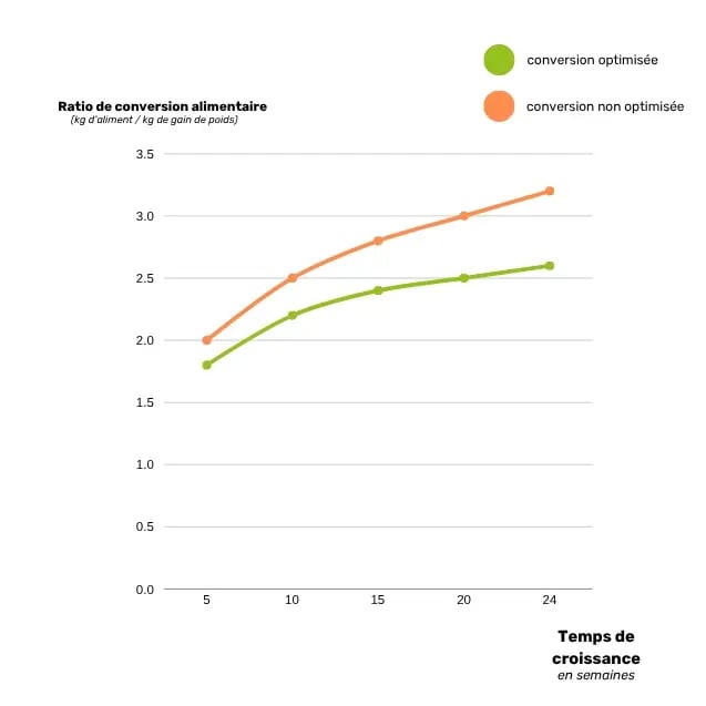 Les besoins nutritionnels des porcs à chaque étape de croissance