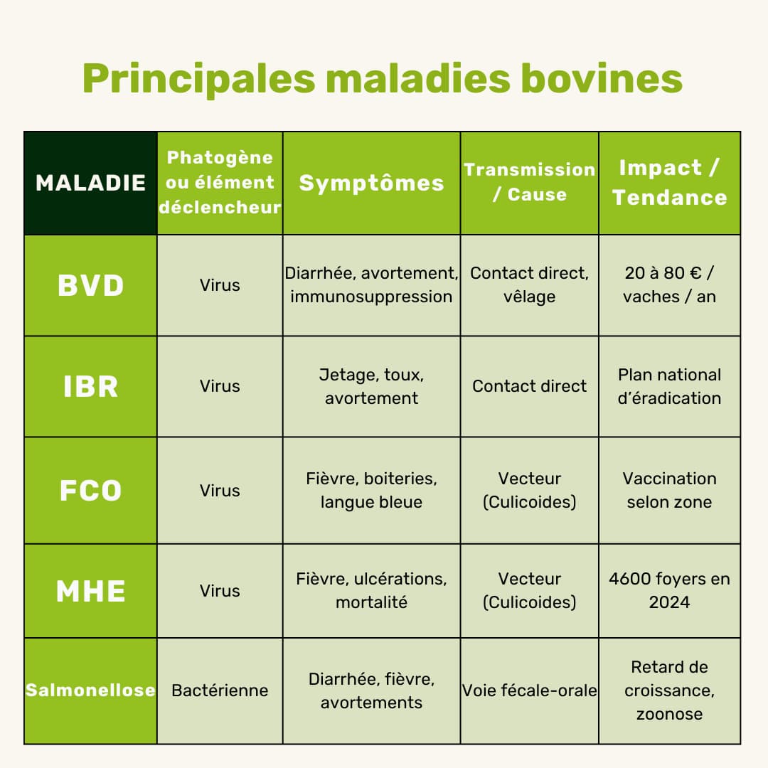 Les différentes maladies