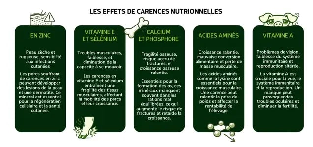 Les effets de carences nutritionnelles chez les porcs