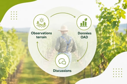 OAD (1)