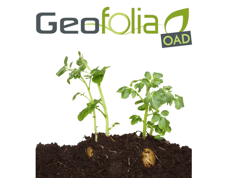 oad mileos geofolia oad