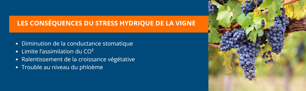 Rapport du GIEC  le climat à l’horizon 2050 (2)