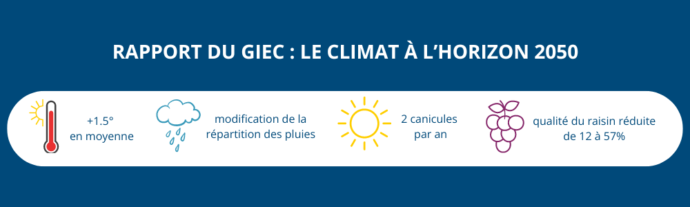 rapport-giec-climat-2050