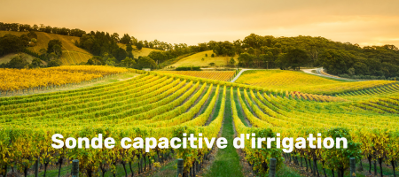 Sonde capacitive dirrigation (3)