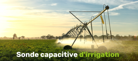 Sonde capacitive dirrigation