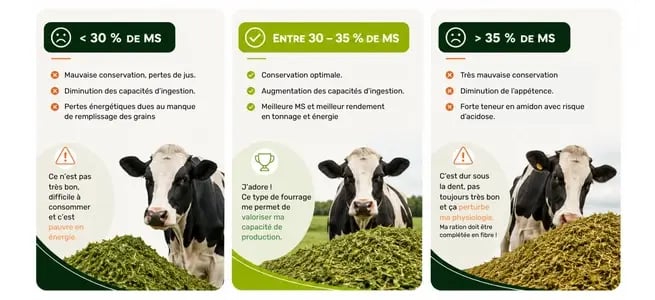Titre blog ensilage TroupO 0424 (637 x 380 px) (2)