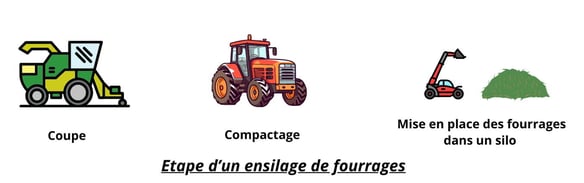 etapes-ensilage-herbe