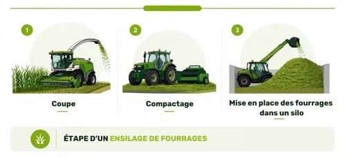 Titre blog ensilage TroupO 0424 (637 x 380 px)