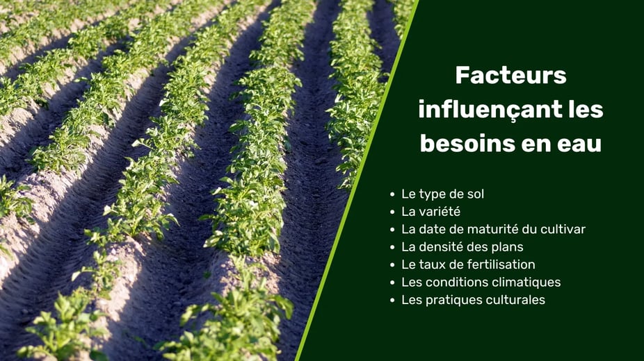 Vignette blog - irrigation PdT
