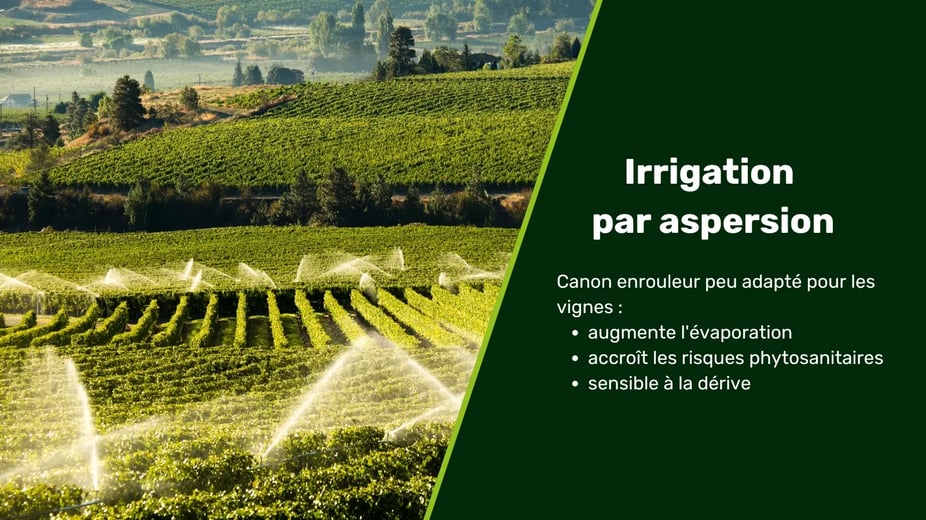 Vignette blog - irrigation vigne (2)