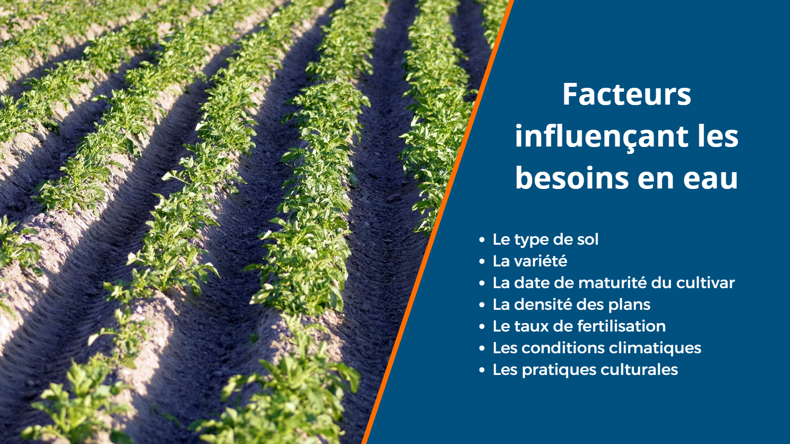 facteur influençant les besoins en eau