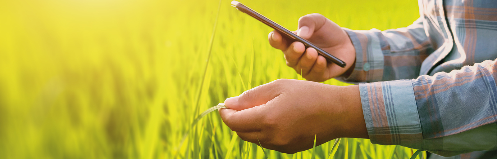 Visuel_Site-Geofolia_Ble-hom-smartphon