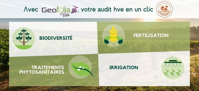 Avec Geofolia Viti, votre audit HVE en un clic