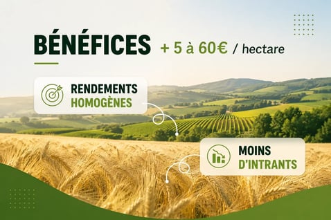 bénéfices