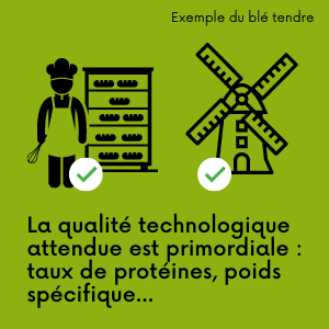 blog cmt choisir ses variétés (1)